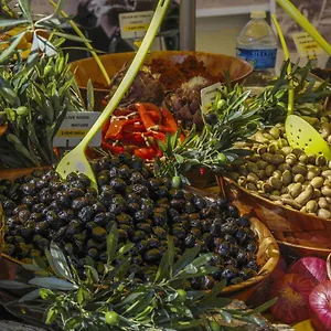 https://maussane.fr-provencehotel.com